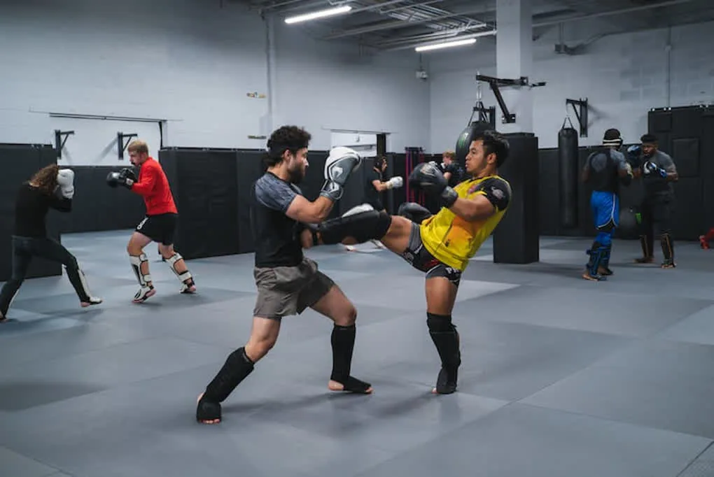 MMA Fight Team